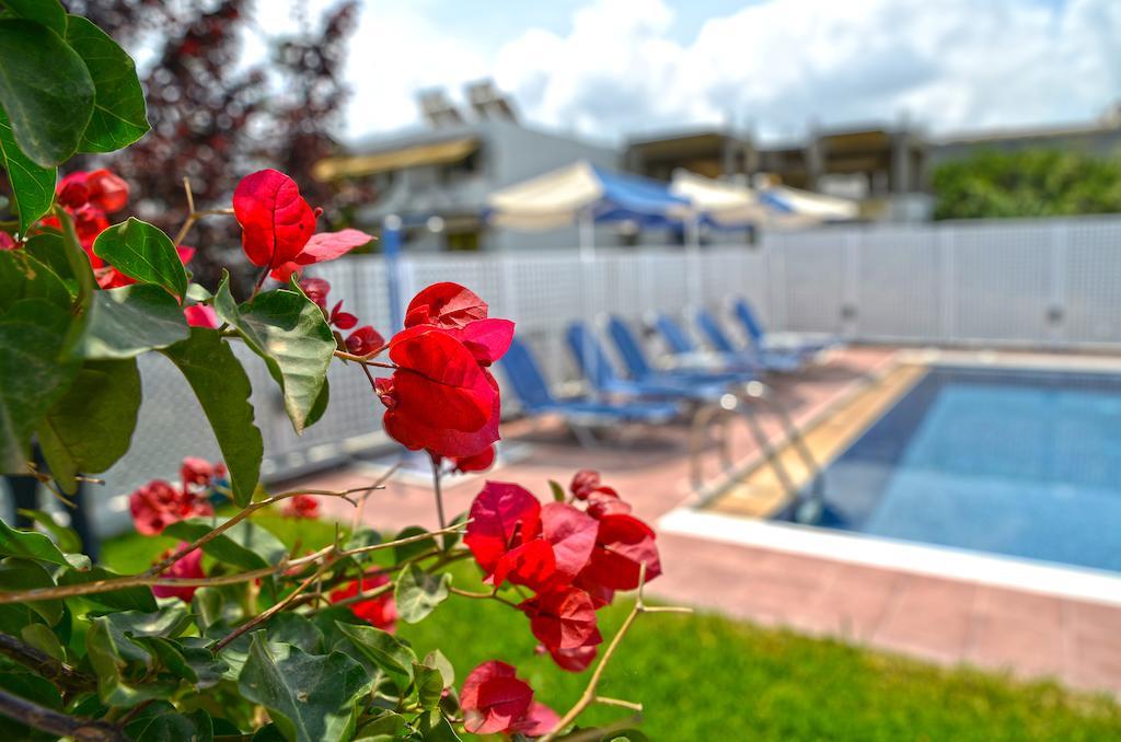 Oliv Apartments Platanes  Pokój zdjęcie