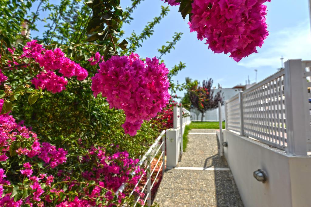 Oliv Apartments Platanes  Pokój zdjęcie